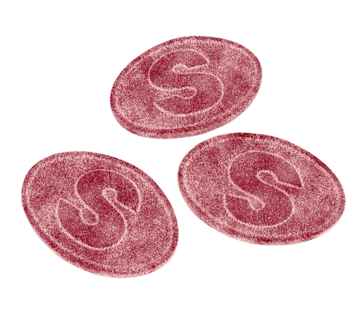 S-MARK SOUR CHERRY 500G